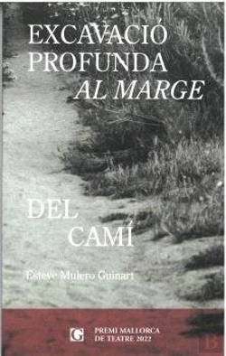 Bertrand.pt - Excavacio Profunda Al Marge Del Cami