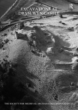 Bertrand.pt - Excavations At Dryslwyn Castle 1980-1995