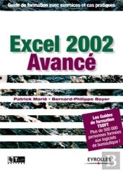 Excel 2002 Avance ; Guide De Formation Avec Exercices Et Cas Pratiques