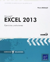 Excel 2013  