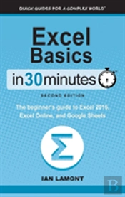 Excel Basics In 30 Minutes (2nd Edition)