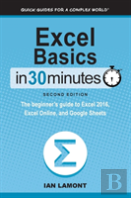 Excel Basics In 30 Minutes (2nd Edition)