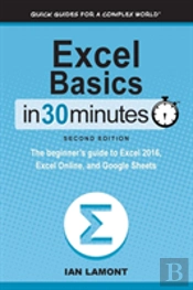 Excel Basics In 30 Minutes (2nd Edition)