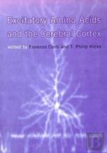 Excitatory Amino Acids And The Cerebral Cortex