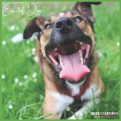Excited Dogs Calendar 2022
