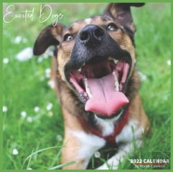 Bertrand.pt - Excited Dogs Calendar 2022