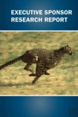 Bertrand.pt - Executive Sponsor Research Report