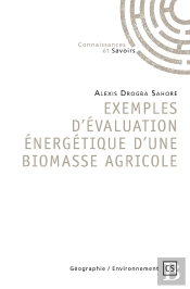 Exemples D'Évaluation Énergétique D'Une Biomasse Agricole