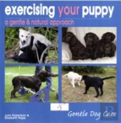 Exercising Your Puppy: A Gentle & Natural Approach