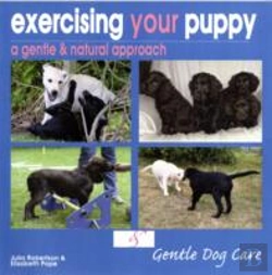 Bertrand.pt - Exercising Your Puppy: A Gentle & Natural Approach