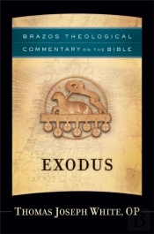 Exodus (Brazos Theological Commentary On The Bible)