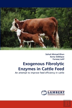 Bertrand.pt - Exogenous Fibrolytic Enzymes In Cattle Feed