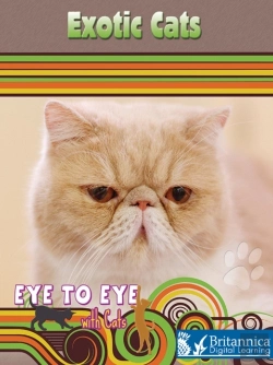 Bertrand.pt - Exotic Cats