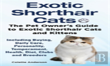 Exotic Shorthair Cats The Pet Owner'S Guide To Exotic Shorthair Cats And Kittens Including Buying, Daily Care, Personality, Temperament, Health, Diet, Clubs And Breeders