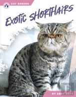 Exotic Shorthairs