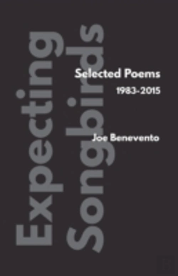 Bertrand.pt - Expecting Songbirds