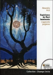 Experience De Mort Imminente - L'Approche Jungienne