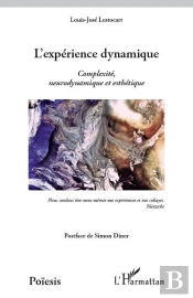 Expérience Dynamique ; Complexité, Neurodynamique Et Esthétique