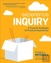 Experience Inquiry
