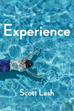 Bertrand.pt - Experience