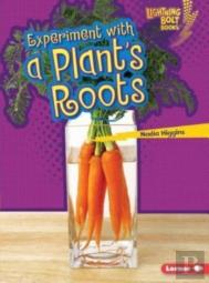 Experiment With A Plants Roots