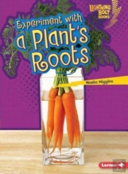 Bertrand.pt - Experiment With A Plants Roots