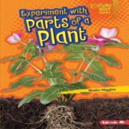 Experiment With Parts Of A Plant