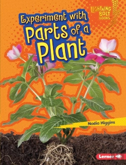 Bertrand.pt - Experiment With Parts Of A Plant