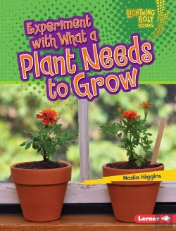 Bertrand.pt - Experiment With What A Plant Needs To Grow