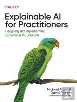 Explainable Ai For Practitioners
