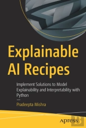 Explainable Ai Recipes