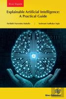 Explainable Artificial Intelligence: A Practical Guide