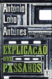 Explicação dos Pássaros