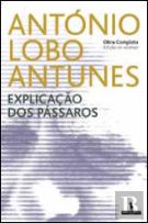 Explicação dos Pássaros