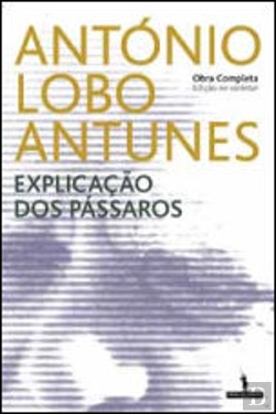Bertrand.pt - Explicação dos Pássaros