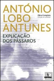 Explicação dos Pássaros