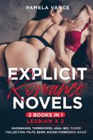 Explicit Romance Novels (2 Books In 1)