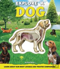 Explore A Dog