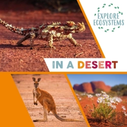 Bertrand.pt - Explore Ecosystems: In A Desert