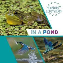 Bertrand.pt - Explore Ecosystems: In A Pond