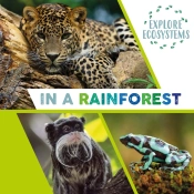 Explore Ecosystems: In A Rainforest