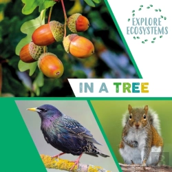 Bertrand.pt - Explore Ecosystems: In A Tree
