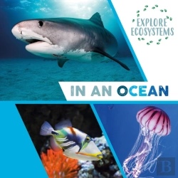 Bertrand.pt - Explore Ecosystems: In An Ocean