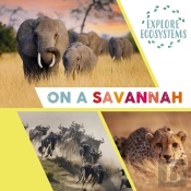 Explore Ecosystems: On A Savannah
