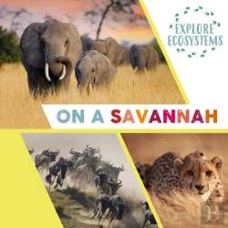 Bertrand.pt - Explore Ecosystems: On A Savannah