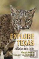 Explore Texas