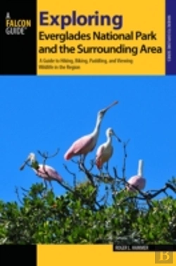 Bertrand.pt - Exploring Everglades National Park And The Surrounding Area