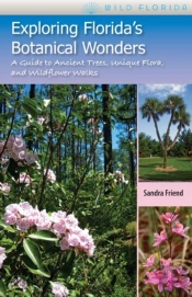 Exploring Florida'S Botanical Wonders