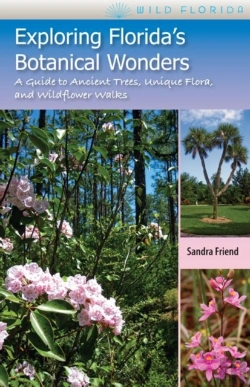 Bertrand.pt - Exploring Florida'S Botanical Wonders