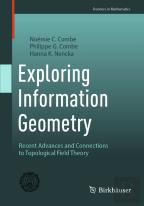 Exploring Information Geometry
